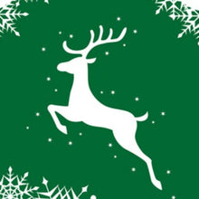 Load image into Gallery viewer, Just Like BBW