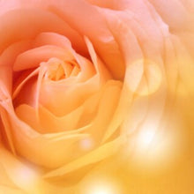 Load image into Gallery viewer, Just Like BBW