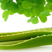 Load image into Gallery viewer, Just Like BBW