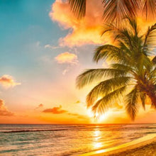 Load image into Gallery viewer, Just Like BBW