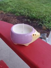 Load image into Gallery viewer, Animal Candles