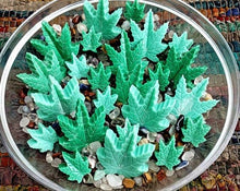 Load image into Gallery viewer, Hemp Scented Candles