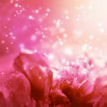 Load image into Gallery viewer, Just Like BBW